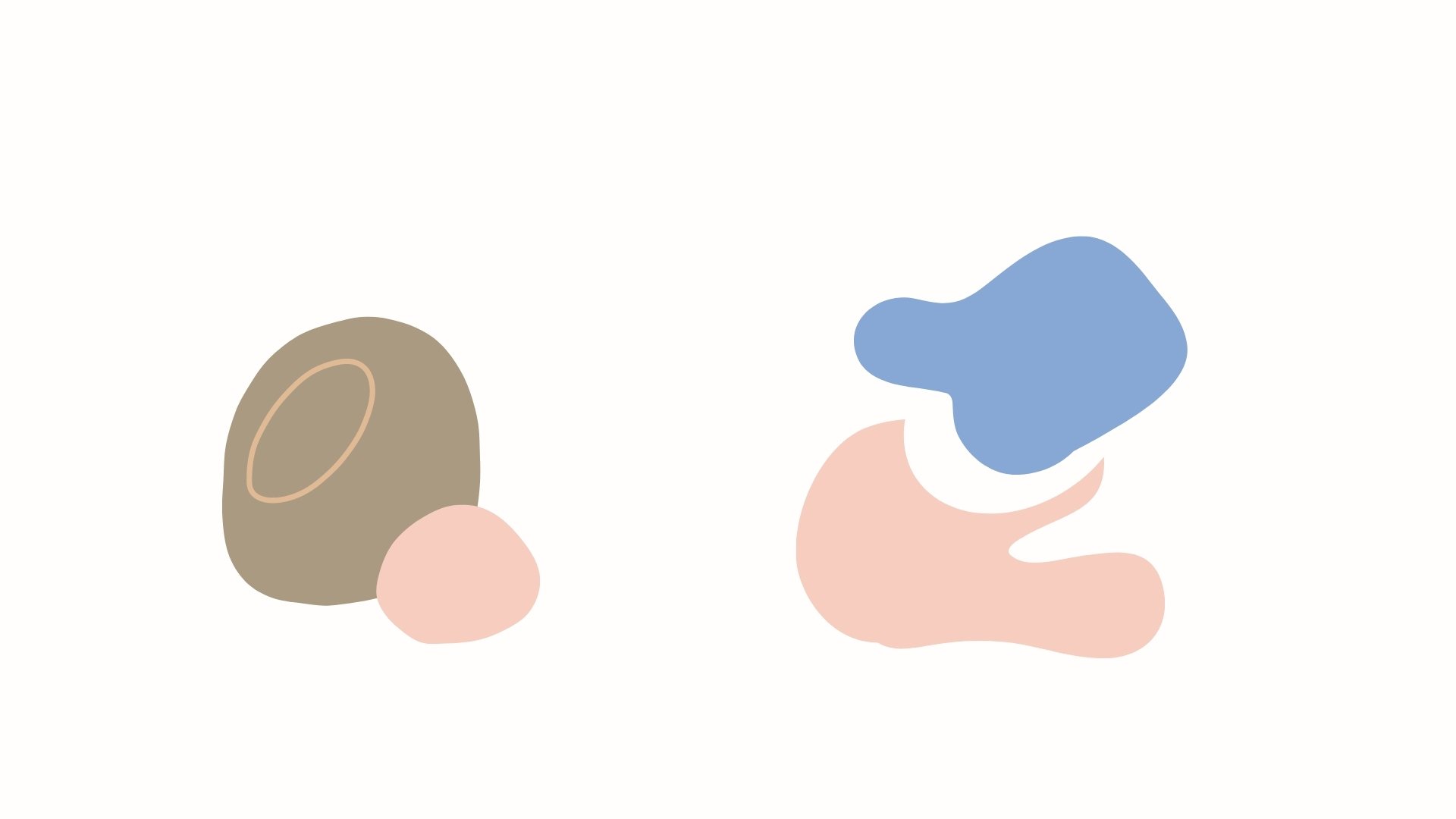 green fern plant inside clear glass vase